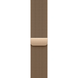 Смарт-часы Apple Watch Series 11 46mm Slate Titanium Case with Gold Milanese Loop M/L