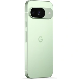 Смартфон Google Pixel 9 12/256Gb Wintergreen