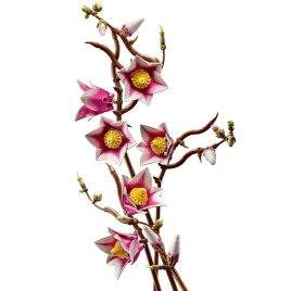 Конструктор LEGO Botanical Magnolia Branches 11510