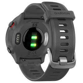 Умные часы Garmin Forerunner 55 (010-02562-13) Monterra Grey