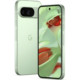 Смартфон Google Pixel 9 12/256Gb Wintergreen