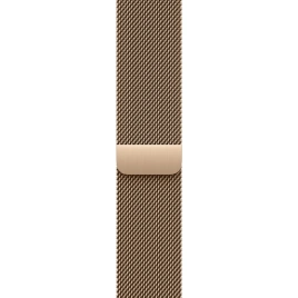 Смарт-часы Apple Watch Series 11 46mm Natural Titanium Case with Gold Milanese Loop M/L