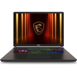 Ноутбук MSI Vector 17 HX AI A2XWJG-099XRU 17 IPS/ i9-275HX Ultra/32GB/1TB SSD (9S7-17S372-099) Gray