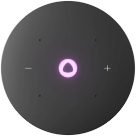 Портативная колонка Яндекс Станция Мини 3 Про с Zigbee , Черный