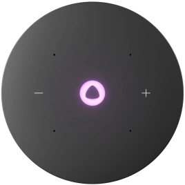 Портативная колонка Яндекс Станция Мини 3 Про с Zigbee , Серый