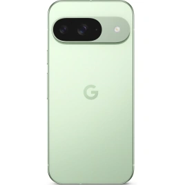 Смартфон Google Pixel 9 12/256Gb Wintergreen