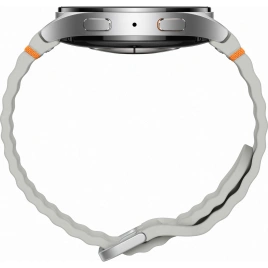 Смарт-часы Samsung Galaxy Watch7 LTE 44 mm SM-L315 Silver