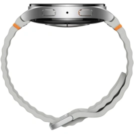 Смарт-часы Samsung Galaxy Watch7 44 mm SM-L310 Silver