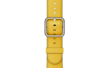 Ремешок Apple Classic Buckle для Apple Watch 38/40mm MPWP2ZM/A Sun Flower
