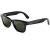 Shiny Black Green