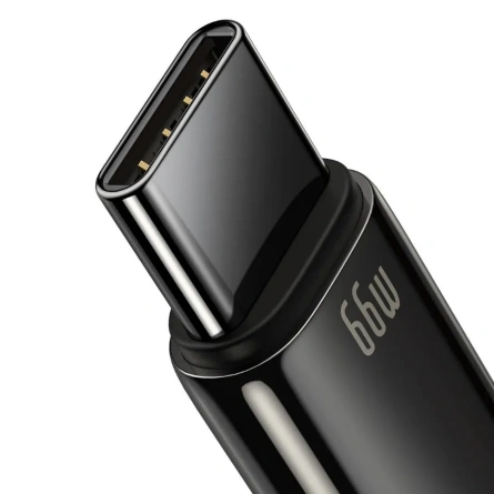 Кабель Baseus Superior Series Fast Charging Data Cable USB to Type-C 66W 2m (CATWJ-C01) Black фото 2