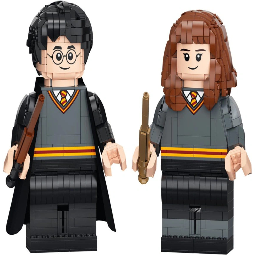 Конструктор LEGO Harry Potter Harry Potter & Hermione Granger 76393 фото 1