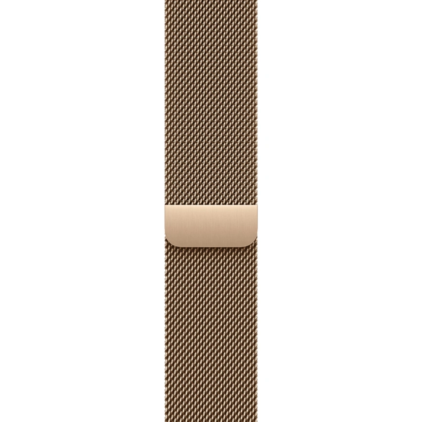 Смарт-часы Apple Watch Series 11 46mm Slate Titanium Case with Gold Milanese Loop фото 3