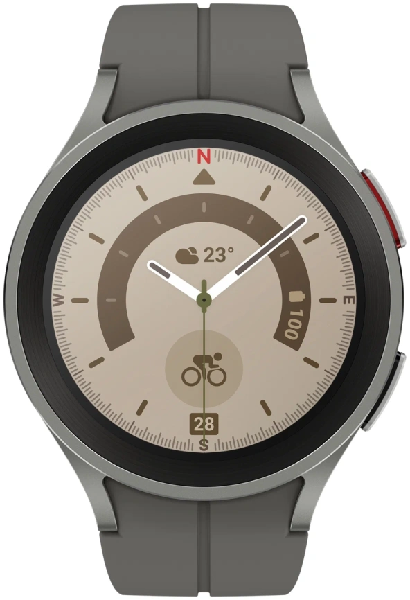 Смарт-часы Samsung Galaxy Watch5 Pro 45 mm SM-R920 Gray Titanium фото 2