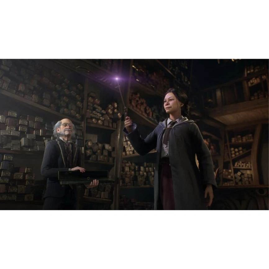 Игра Warner Bros Hogwarts Legacy (Русские субтитры) (PS4) фото 4