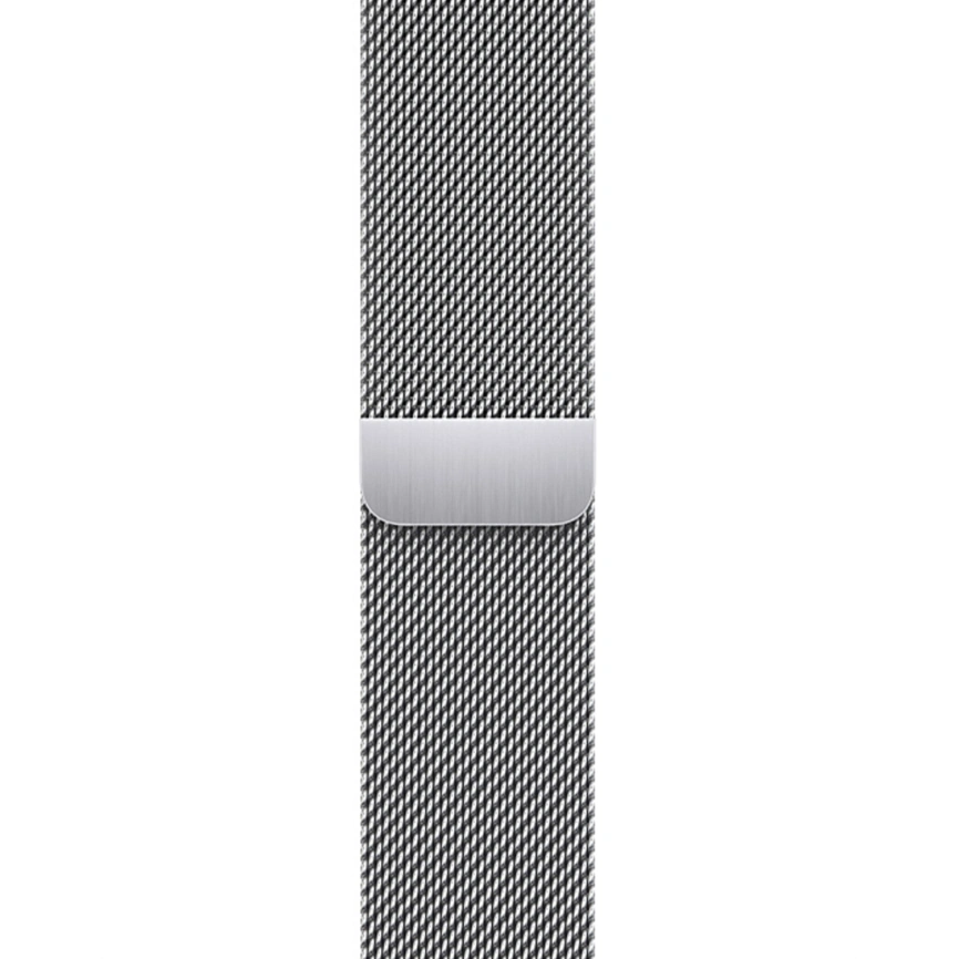 Ремешок Apple Watch 45mm Silver Milanese Loop фото 1
