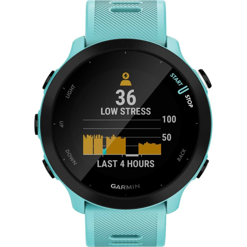 Умные часы Garmin Forerunner 55 (010-02562-12) Aqua фото 2