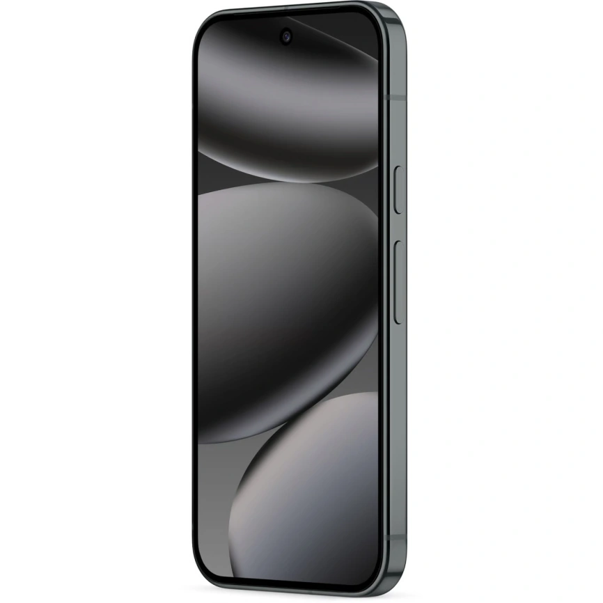 Смартфон Google Pixel 10 Pro 16/256Gb Obsidian фото 2