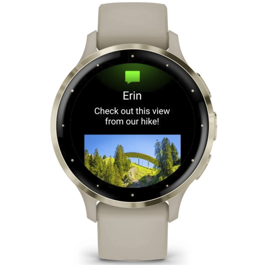 Умные часы Garmin Venu 3s (010-02785-02) 41mm French Gray фото 5