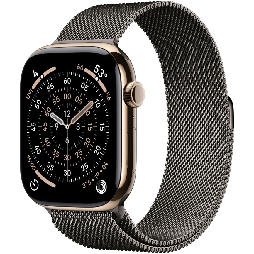 Смарт-часы Apple Watch Series 11 46mm Gold Titanium Case with Slate Milanese Loop M/L фото 1