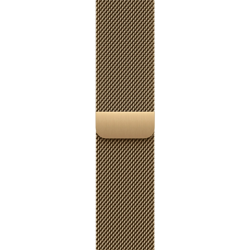 Смарт-часы Apple Watch Series 12 46mm Natural Titanium Case with Radiant Gold Milanese Loop M/L фото 2