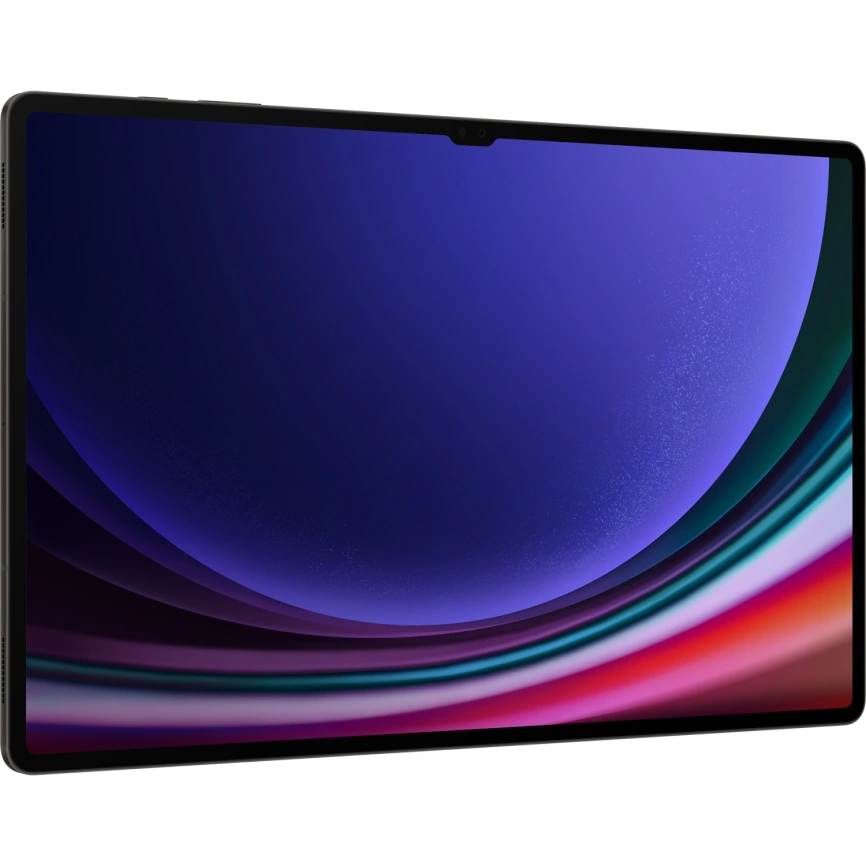 Планшет Samsung Galaxy Tab S9 Ultra Wi-Fi 16/1Tb Graphite (SM-X910) фото 6