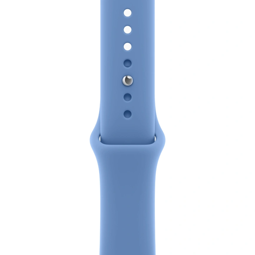 Смарт-часы Apple Watch Series 12 42mm Light Gold Aluminum Case with Wildflower Blue Sport Band S/M фото 2