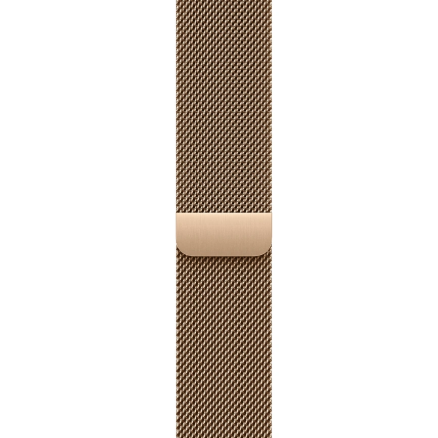 Смарт-часы Apple Watch Series 10 46mm Gold Titanium Case with Gold Milanese Loop фото 2