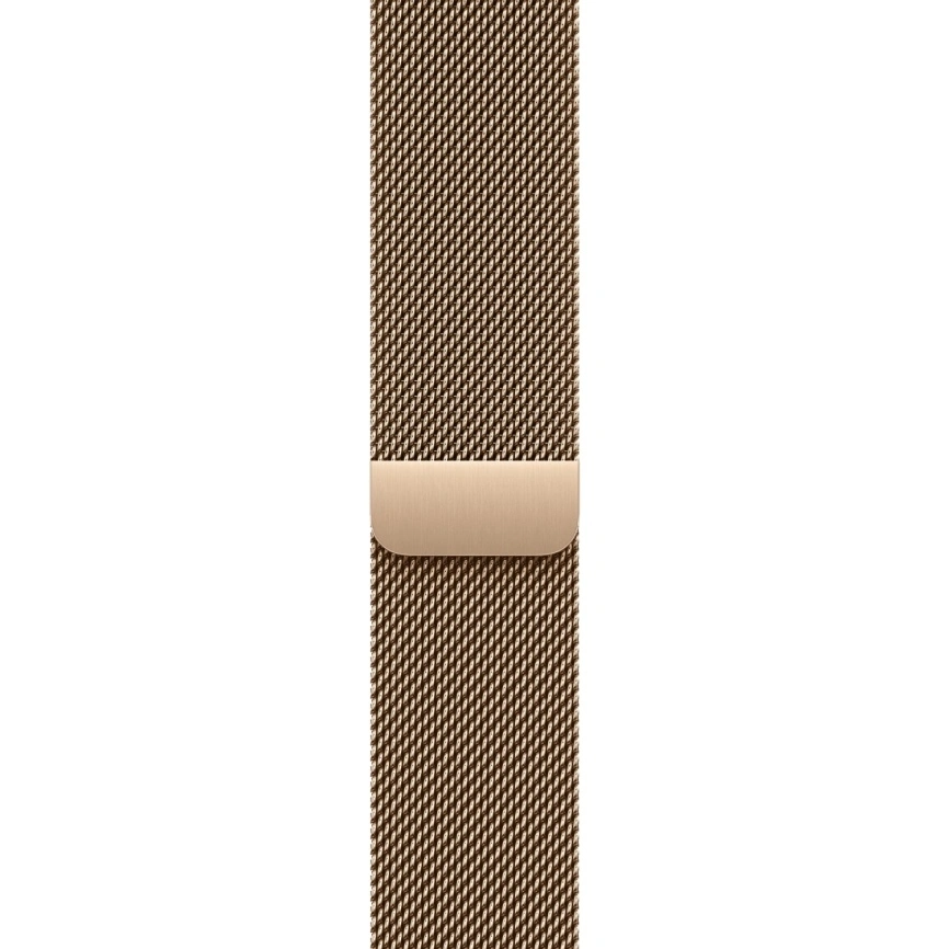 Смарт-часы Apple Watch Series 11 46mm Natural Titanium Case with Gold Milanese Loop M/L фото 3