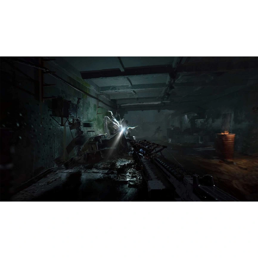 Игра Sony STALKER 2: Heart of Chornobyl (PS5) фото 4