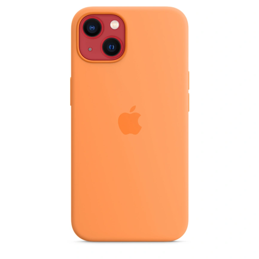 Силиконовый чехол Apple MagSafe для iPhone 13 Весенняя мимоза фото 3
