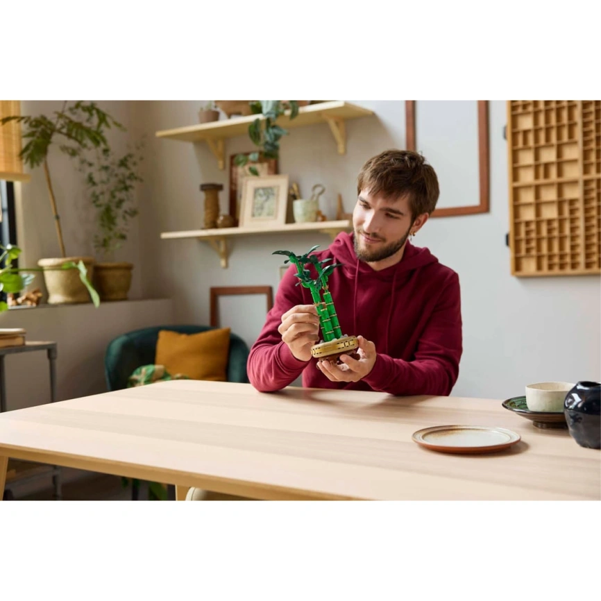 Конструктор LEGO Botanical Lucky Bamboo 10344 фото 5