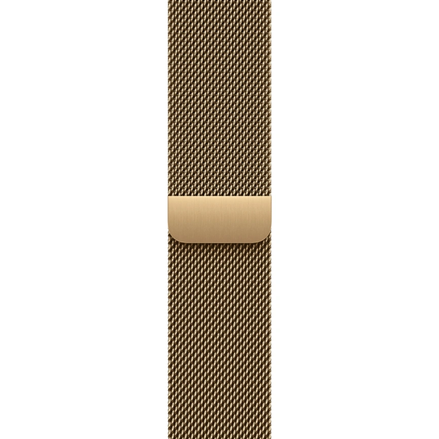 Смарт-часы Apple Watch Series 12 46mm Radiant Gold Titanium Case with Radiant Gold Milanese Loop S/M фото 2