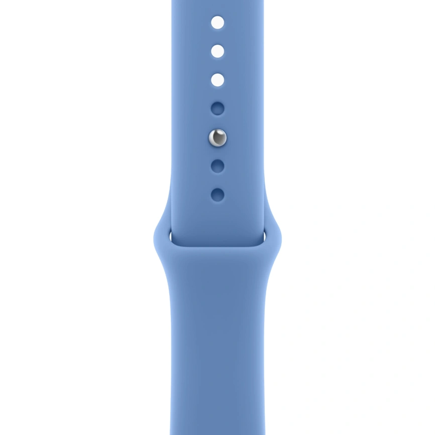 Смарт-часы Apple Watch Series 12 46mm Dark Bronze Aluminum Case with Wildflower Blue Sport Band S/M фото 2