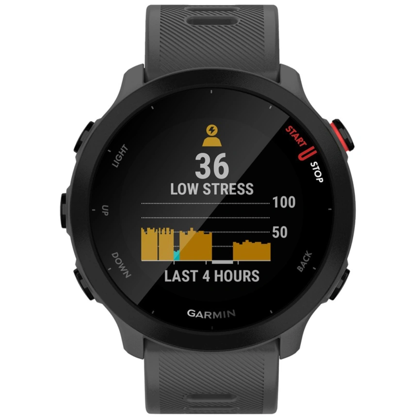 Умные часы Garmin Forerunner 55 (010-02562-13) Monterra Grey фото 5