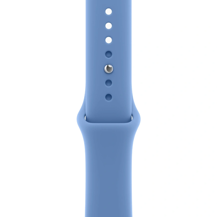 Смарт-часы Apple Watch Series 12 42mm Black Aluminum Case with Wildflower Blue Sport Band S/M фото 2