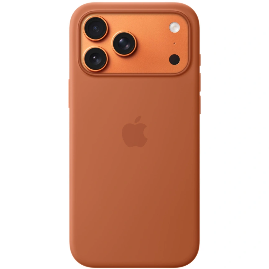 Чехол Apple Silicone Case with MagSafe для iPhone 17 Pro Max Terra Cotta фото 1