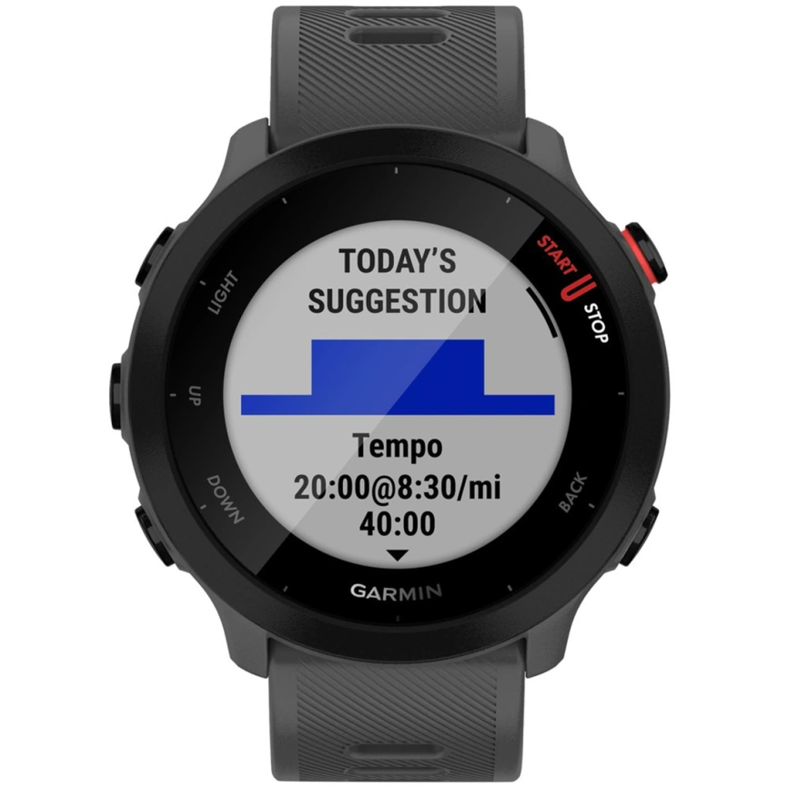 Умные часы Garmin Forerunner 55 (010-02562-13) Monterra Grey фото 4