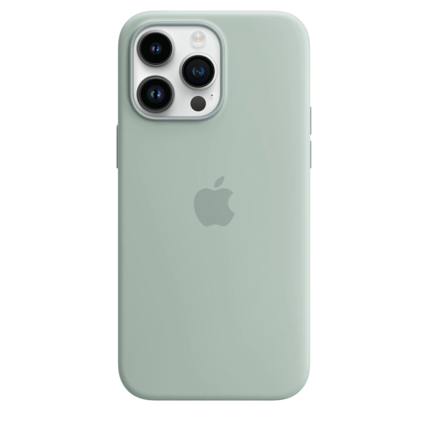 Силиконовый чехол Apple MagSafe для iPhone 14 Pro Max Succulent фото 1