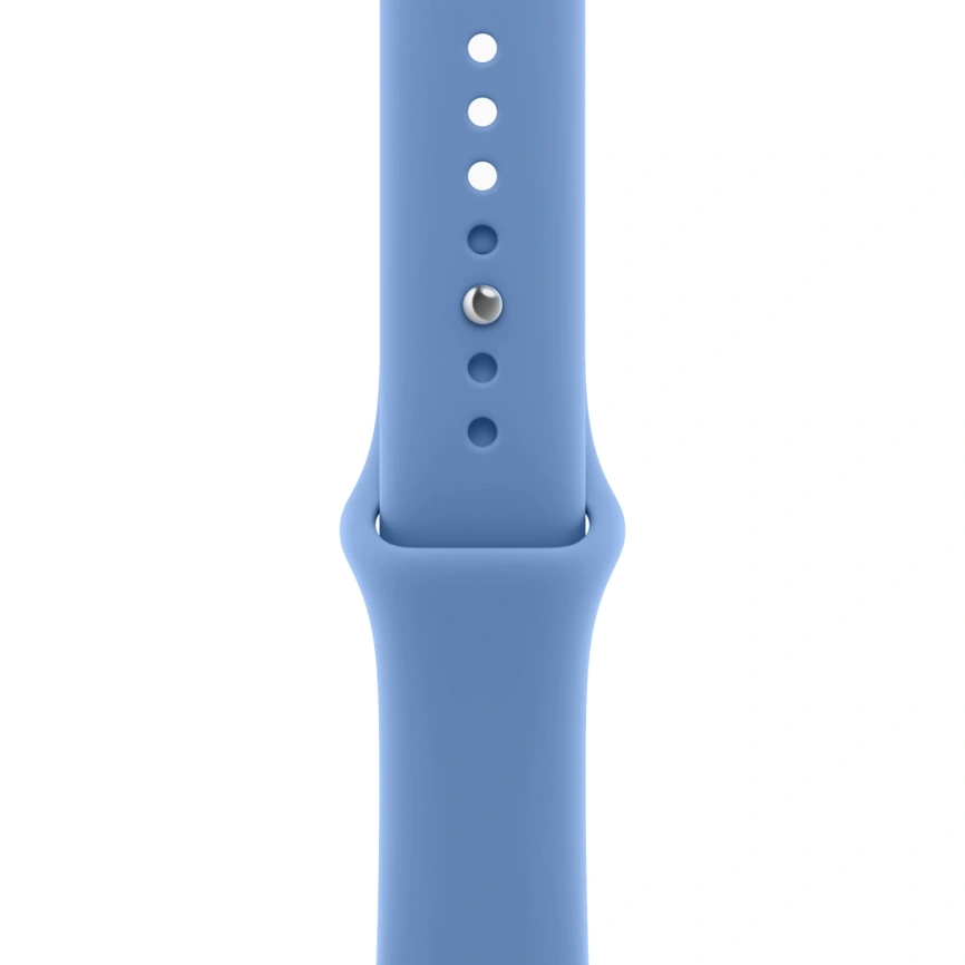 Смарт-часы Apple Watch Series 12 46mm Space Gray Aluminum Case with Wildflower Blue Sport Band M/L фото 2