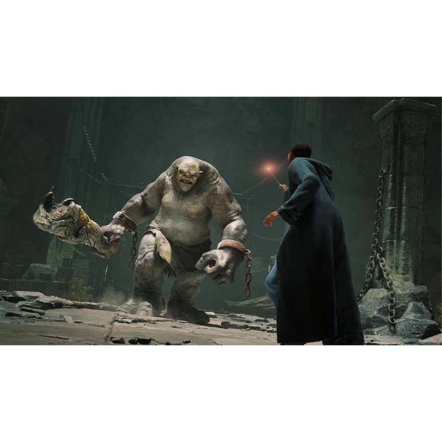 Игра Warner Bros Hogwarts Legacy (Русские субтитры) (PS4) фото 3