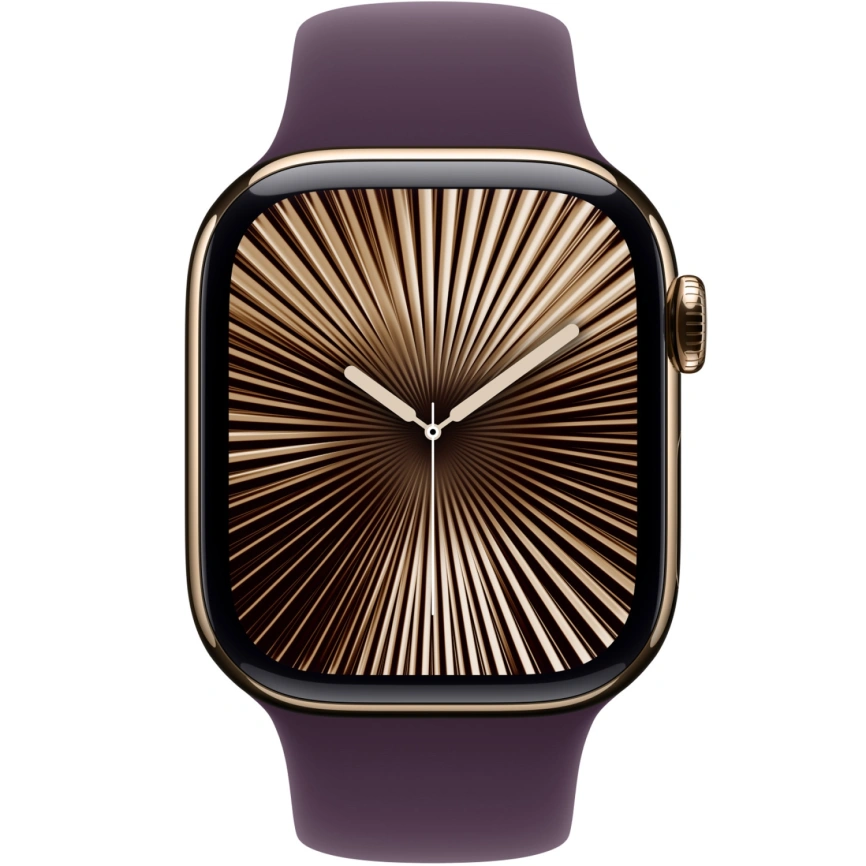 Ремешок Apple Watch 42mm Plum Sport Band S/M фото 3