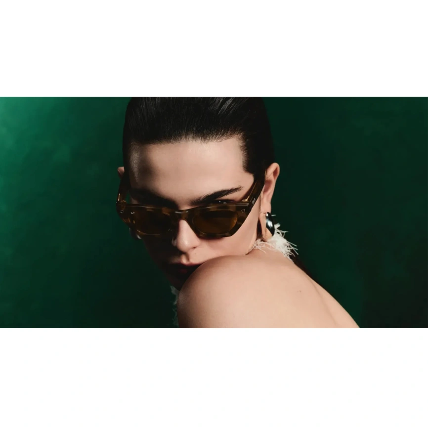 Умные очки Ray-Ban Zena (Gen 3) Havana Standard Gradient Brown фото 6