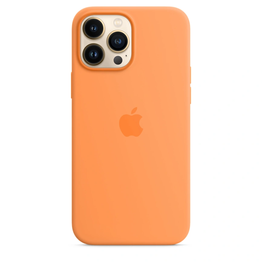 Силиконовый чехол Apple MagSafe для iPhone 13 Pro Max Весенняя мимоза фото 1