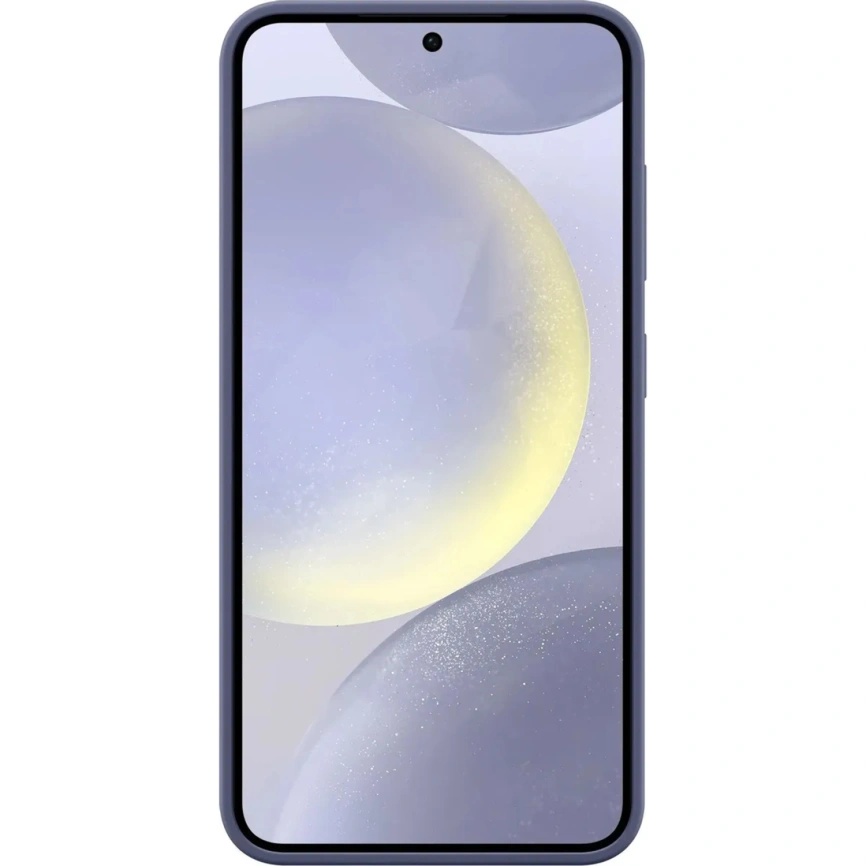 Чехол Samsung Silicone Case для S24 Plus Blue фото 2