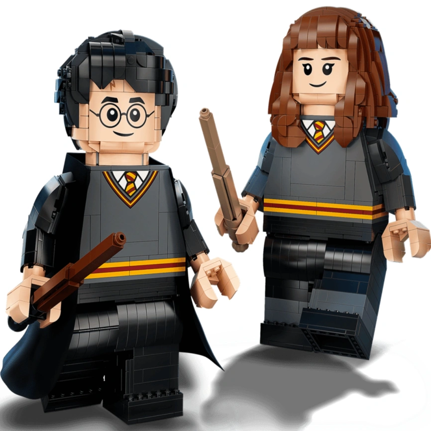 Конструктор LEGO Harry Potter Harry Potter & Hermione Granger 76393 фото 3