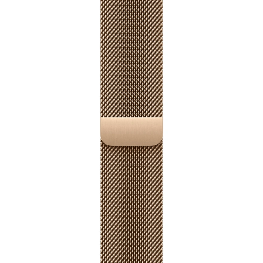 Смарт-часы Apple Watch Series 10 42mm Gold Titanium Case with Gold Milanese Loop фото 2